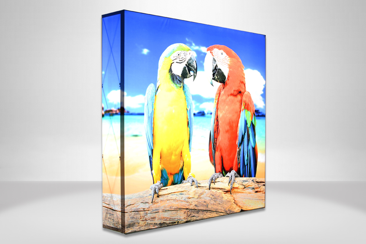 portables-backwall-displays-snap-on-parrots-1200 portables-backwall-displays-snap-on-parrots-1200